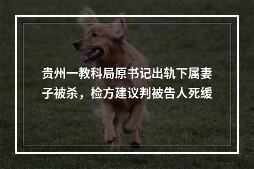 贵州一教科局原书记出轨下属妻子被杀，检方建议判被告人死缓