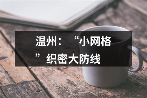 温州：“小网格”织密大防线