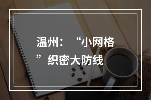 温州：“小网格”织密大防线