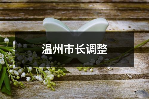 温州市长调整
