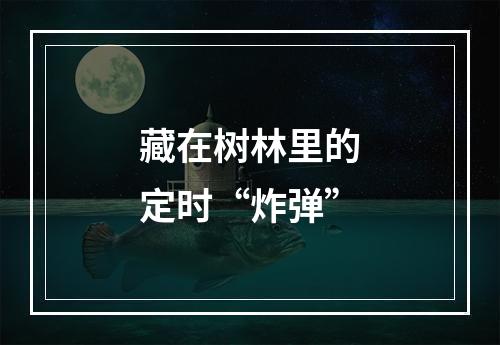 藏在树林里的定时“炸弹”