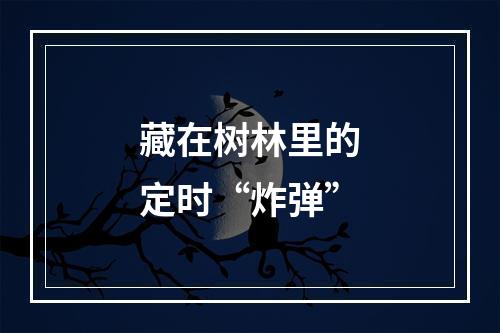 藏在树林里的定时“炸弹”