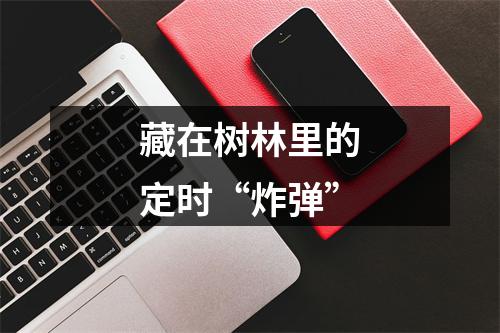 藏在树林里的定时“炸弹”