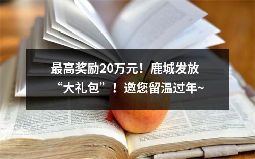 最高奖励20万元！鹿城发放“大礼包”！邀您留温过年~