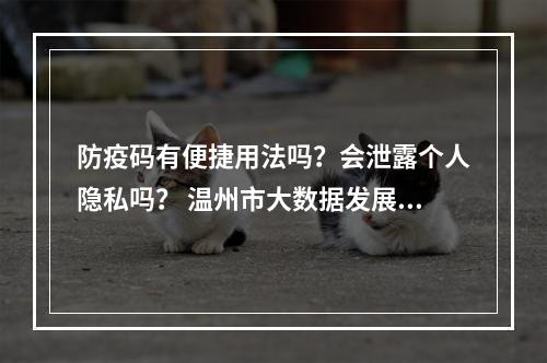 防疫码有便捷用法吗？会泄露个人隐私吗？ 温州市大数据发展管理局回应市民关切