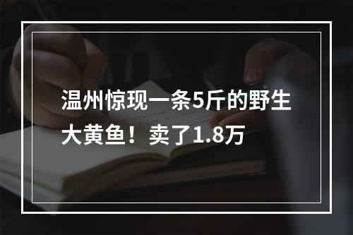 温州惊现一条5斤的野生大黄鱼！卖了1.8万