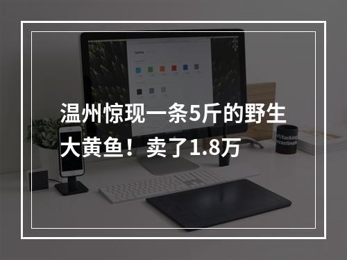 温州惊现一条5斤的野生大黄鱼！卖了1.8万
