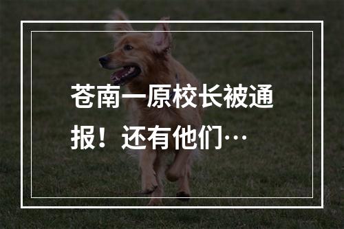 苍南一原校长被通报！还有他们…