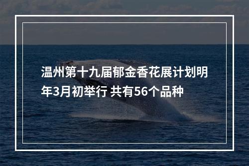 温州第十九届郁金香花展计划明年3月初举行 共有56个品种