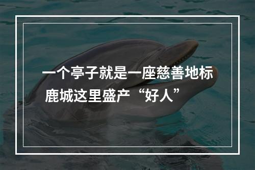 一个亭子就是一座慈善地标 鹿城这里盛产“好人”