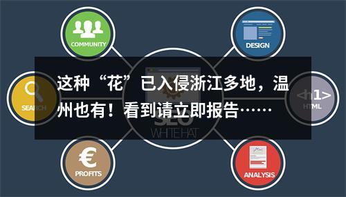 这种“花”已入侵浙江多地，温州也有！看到请立即报告……