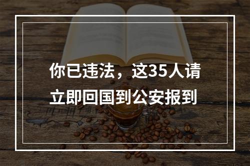 你已违法，这35人请立即回国到公安报到