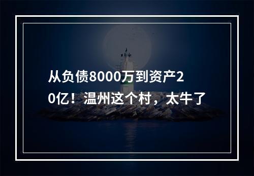 从负债8000万到资产20亿！温州这个村，太牛了