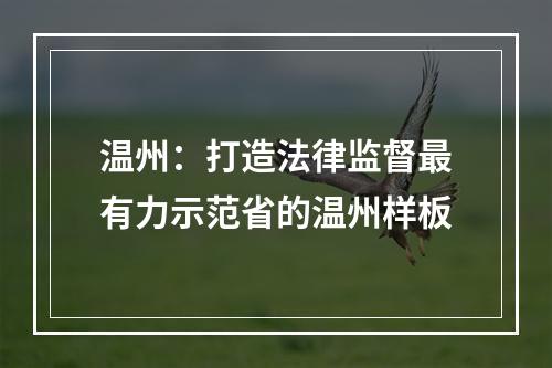 温州：打造法律监督最有力示范省的温州样板