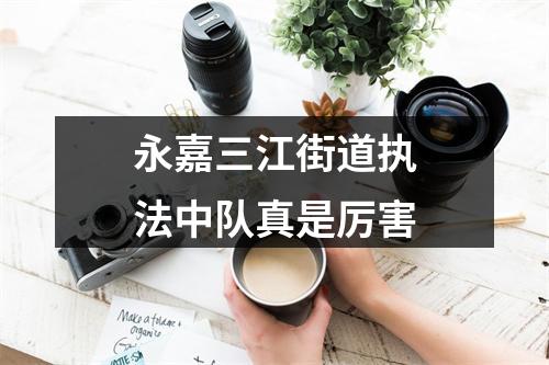 永嘉三江街道执法中队真是厉害