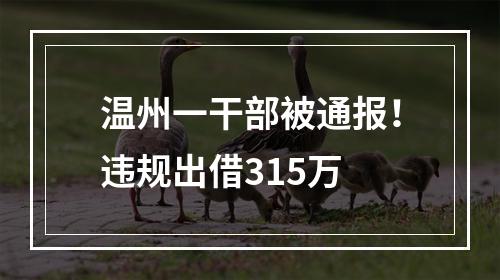 温州一干部被通报！违规出借315万