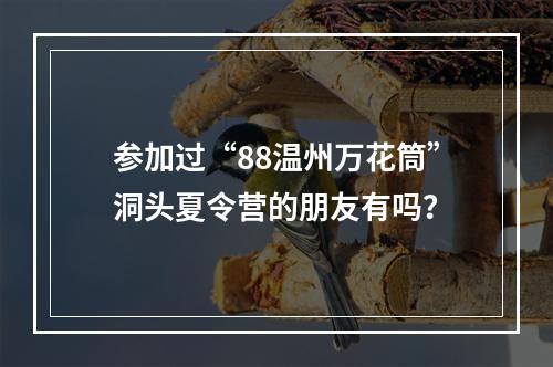 参加过“88温州万花筒”洞头夏令营的朋友有吗？