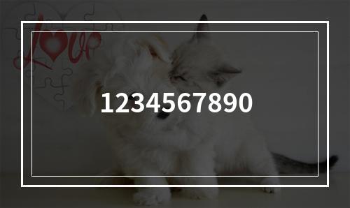 1234567890