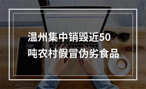 温州集中销毁近50吨农村假冒伪劣食品