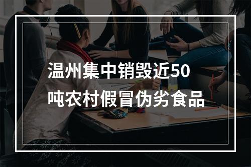 温州集中销毁近50吨农村假冒伪劣食品