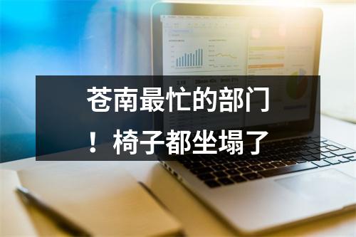 苍南最忙的部门！椅子都坐塌了