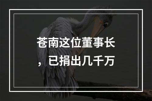 苍南这位董事长，已捐出几千万