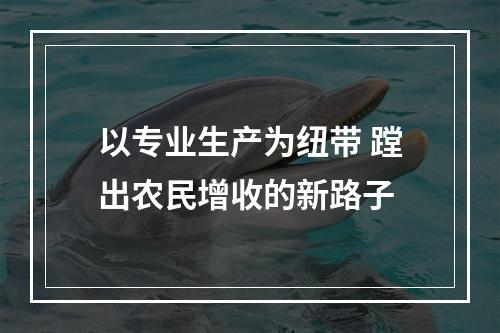 以专业生产为纽带 蹚出农民增收的新路子