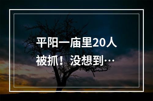 平阳一庙里20人被抓！没想到…