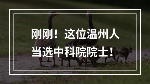 刚刚！这位温州人当选中科院院士！