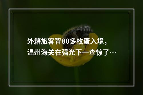 外籍旅客背80多枚蛋入境，温州海关在强光下一查惊了…