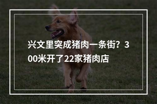 兴文里突成猪肉一条街？300米开了22家猪肉店