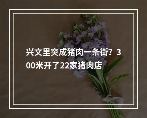 兴文里突成猪肉一条街？300米开了22家猪肉店