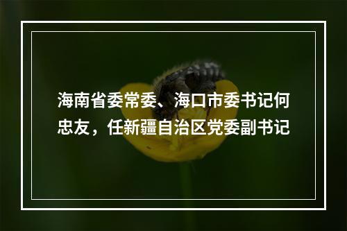 海南省委常委、海口市委书记何忠友，任新疆自治区党委副书记