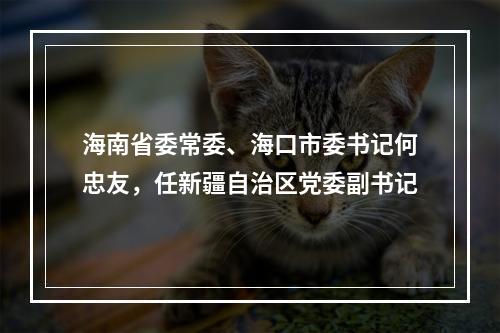 海南省委常委、海口市委书记何忠友，任新疆自治区党委副书记