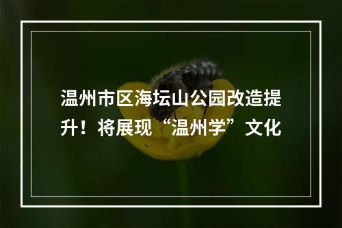 温州市区海坛山公园改造提升！将展现“温州学”文化