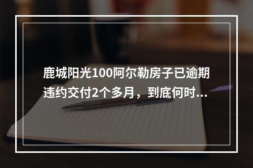 鹿城阳光100阿尔勒房子已逾期违约交付2个多月，到底何时交付？