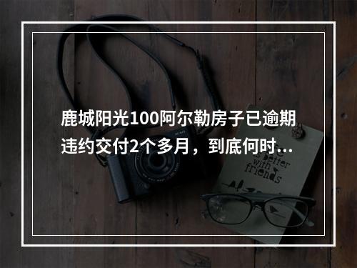 鹿城阳光100阿尔勒房子已逾期违约交付2个多月，到底何时交付？