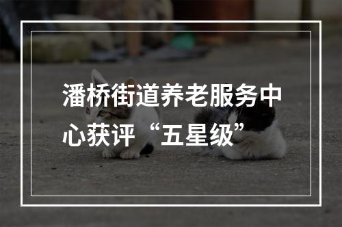 潘桥街道养老服务中心获评“五星级”
