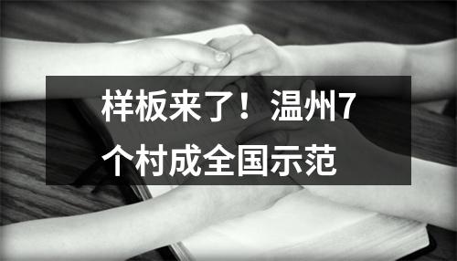样板来了！温州7个村成全国示范
