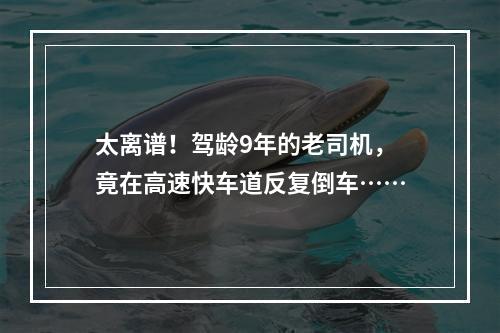 太离谱！驾龄9年的老司机，竟在高速快车道反复倒车……
