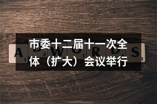 市委十二届十一次全体（扩大）会议举行