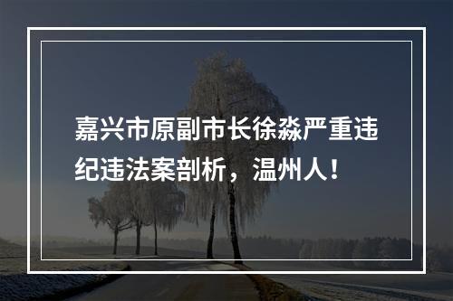 嘉兴市原副市长徐淼严重违纪违法案剖析，温州人！