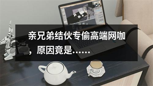 亲兄弟结伙专偷高端网咖，原因竟是......