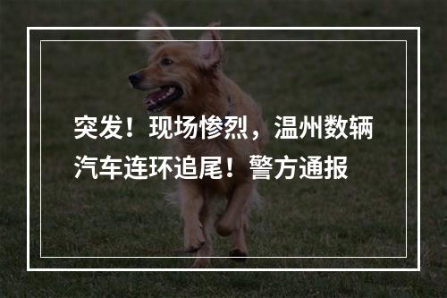 突发！现场惨烈，温州数辆汽车连环追尾！警方通报