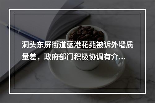 洞头东屏街道蓝港花苑被诉外墙质量差，政府部门积极协调有介入