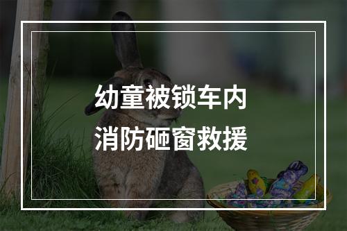 幼童被锁车内 消防砸窗救援