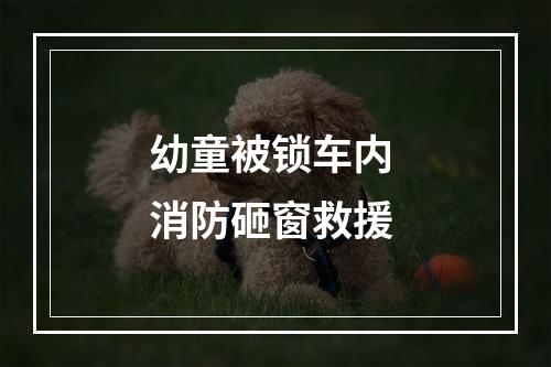 幼童被锁车内 消防砸窗救援