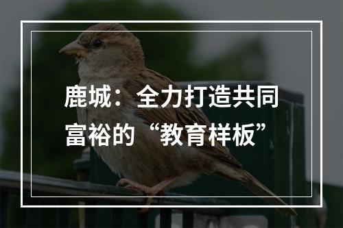 鹿城：全力打造共同富裕的“教育样板”