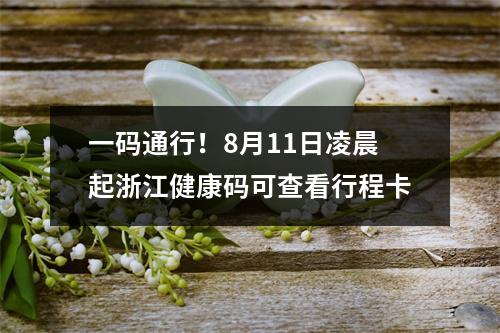 一码通行！8月11日凌晨起浙江健康码可查看行程卡