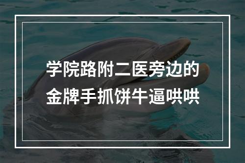 学院路附二医旁边的金牌手抓饼牛逼哄哄
